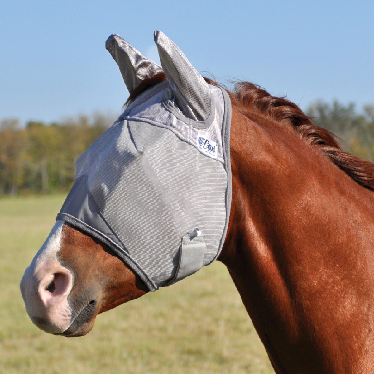 Horse Fly Mask product image 11