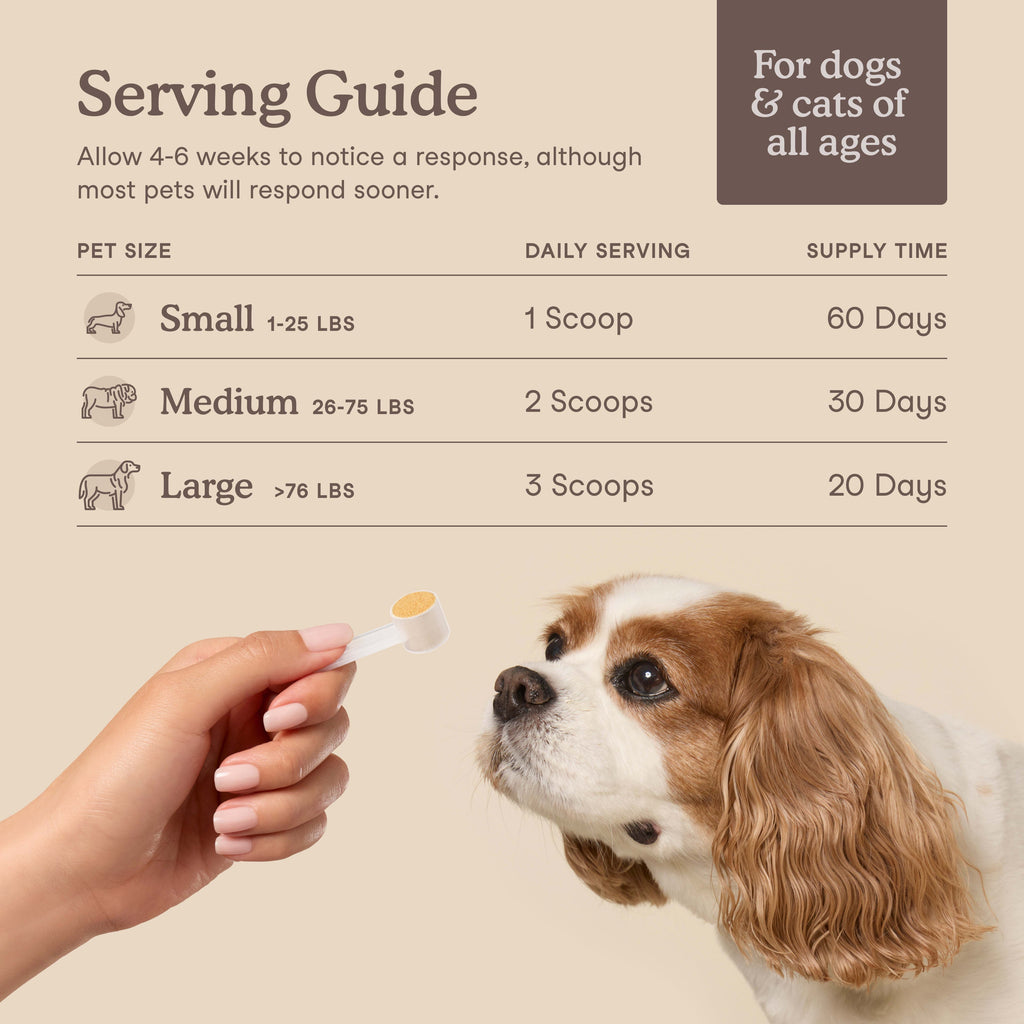 Pet Liver Support product image 4