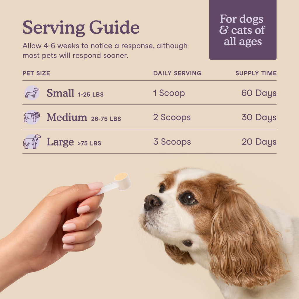 Calming Supplement product image 4
