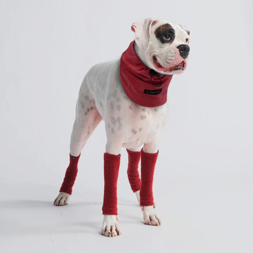 Adjustable Dog Ear Cover product image 9
