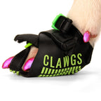 Clawgs V3