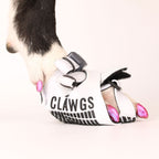 Clawgs V3
