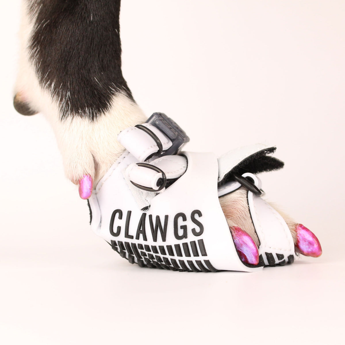 Clawgs V3
