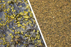 Seaweed Supplement product image 6