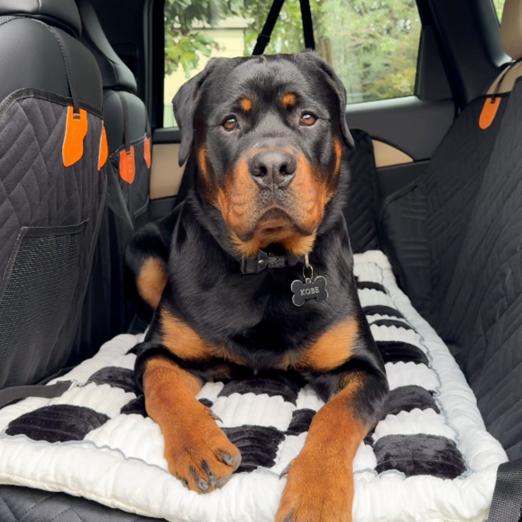 Vehicle Back Seat Cover and Dog Bed product image 11
