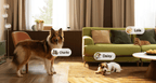 Smart Pet Camera product image 4