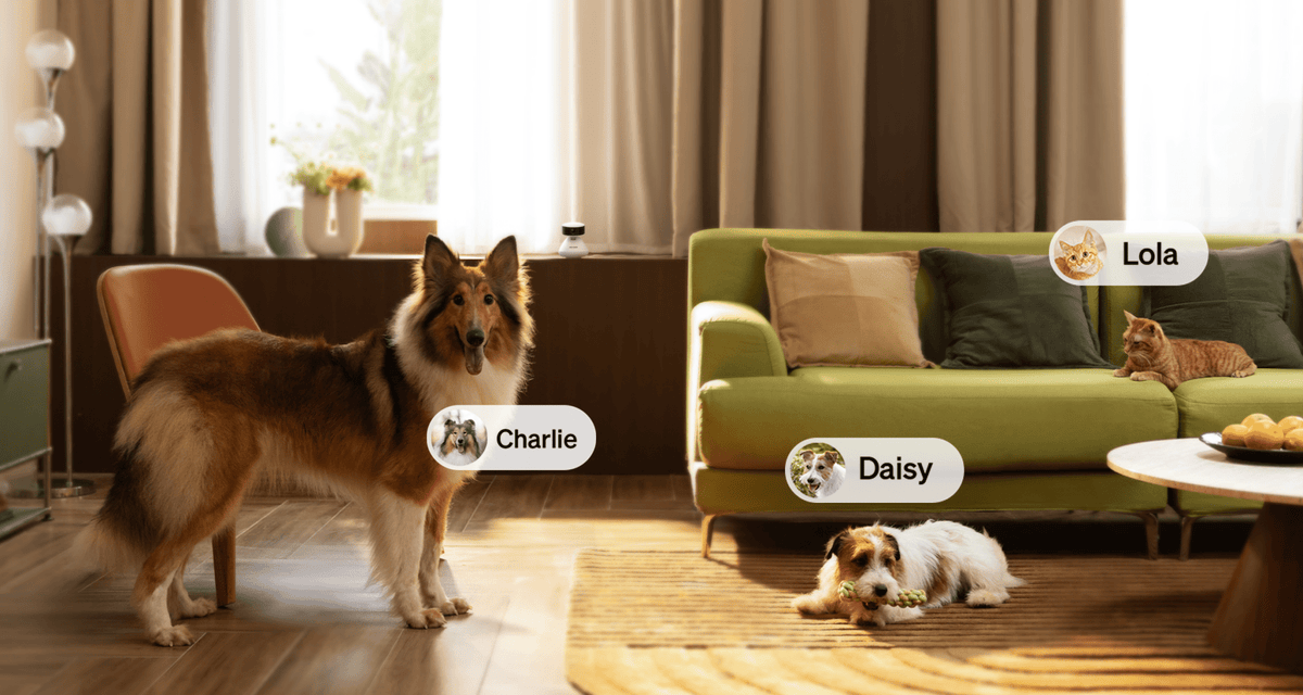 Smart Pet Camera product image 4