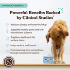 Dental Powder