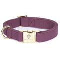 Dog Collar product image 1