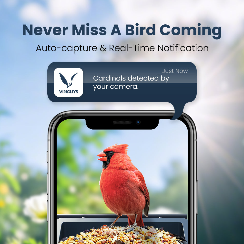 Smart Bird Feeder product image 6