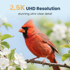 Smart Bird Feeder product image 7