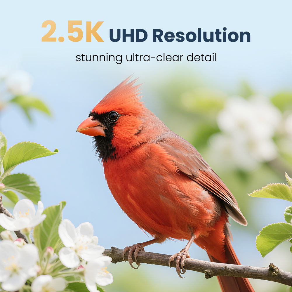 Smart Bird Feeder product image 7