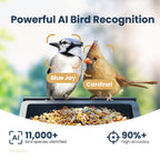 Smart Bird Feeder product image 8