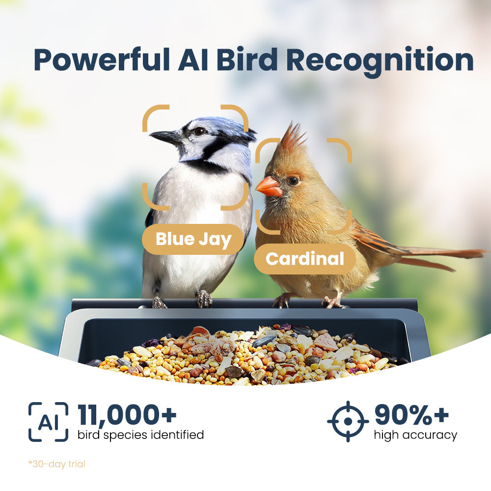 Smart Bird Feeder product image 8