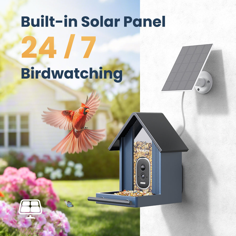 Smart Bird Feeder product image 9
