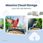 Smart Bird Feeder product image 11