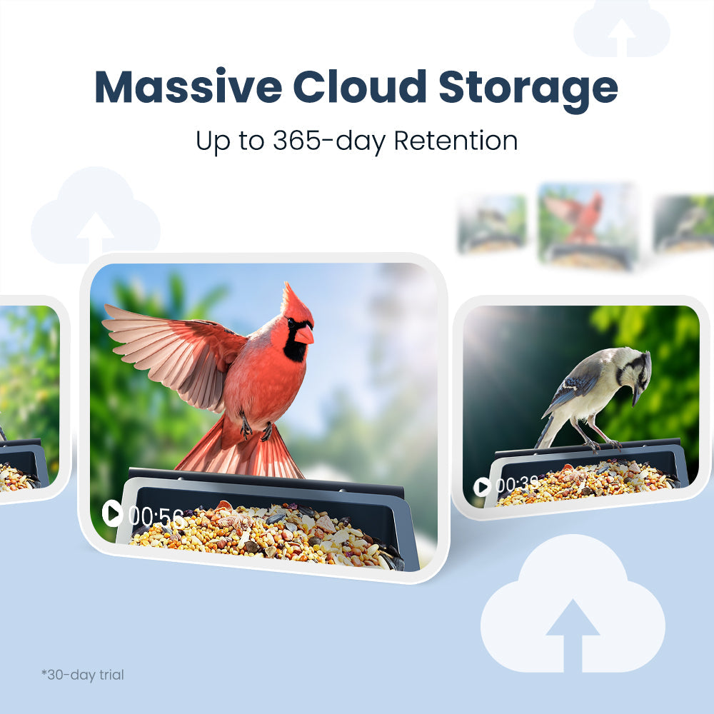 Smart Bird Feeder product image 11