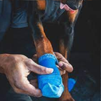 Dog Socks product image 7