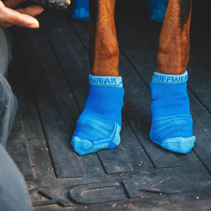 Dog Socks product image 8