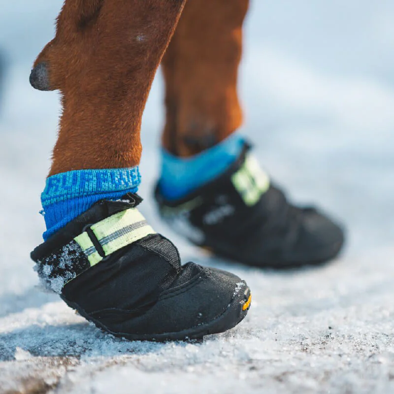 Dog Socks product image 9