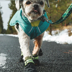 Dog Boots product image 11
