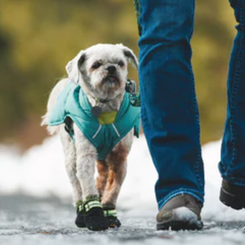 Dog Boots product image 12