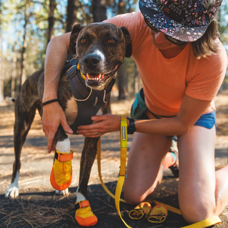 Dog Boots product image 13