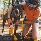 Dog Boots product image 13