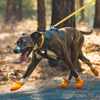 Dog Boots product image 14