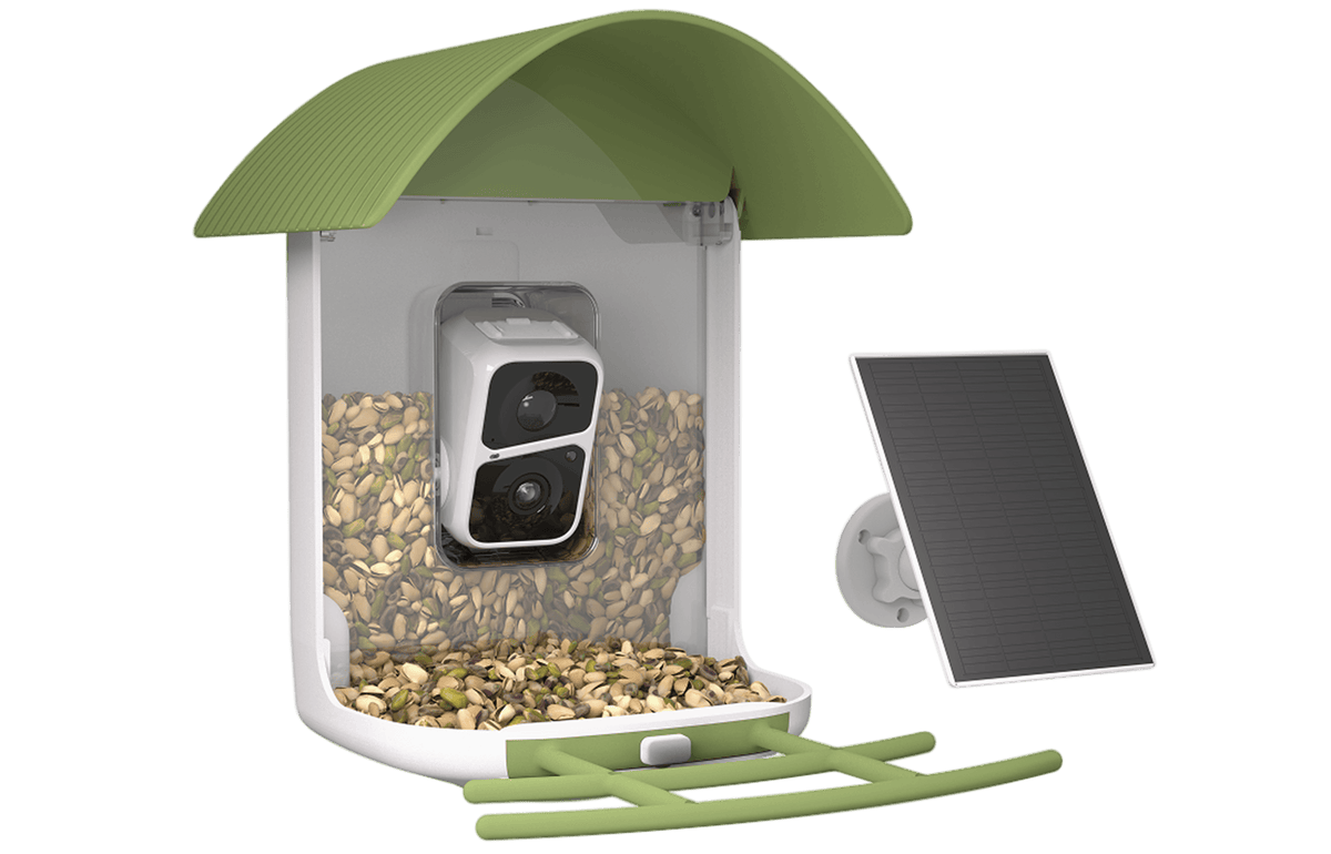 Smart Bird Feeder product image 3