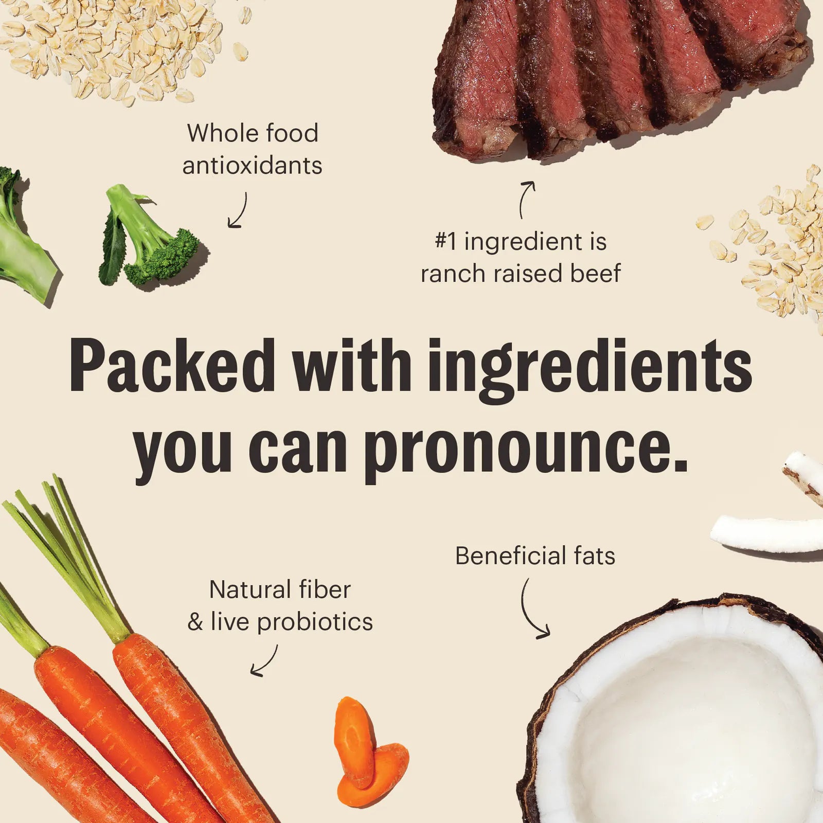 Whole Grain Beef Whole Food Clusters Dry Dog Food