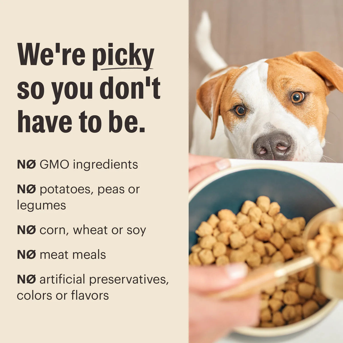 Whole Grain Whole Food Clusters Dry Dog Food from The Honest Kitchen