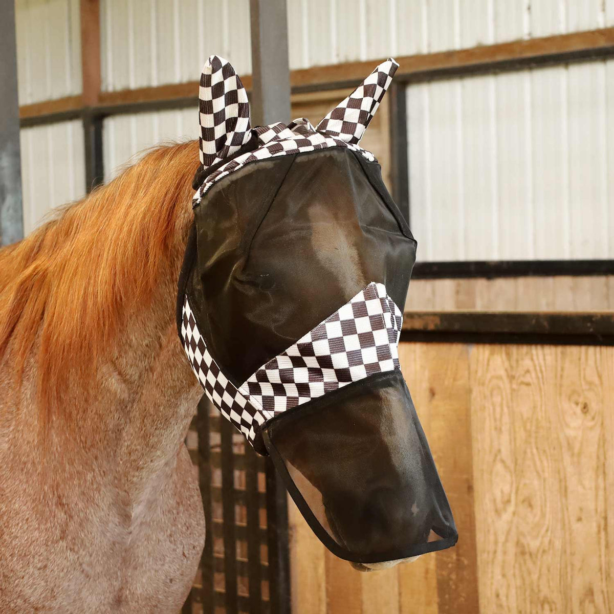 Horse Fly Mask product image 2