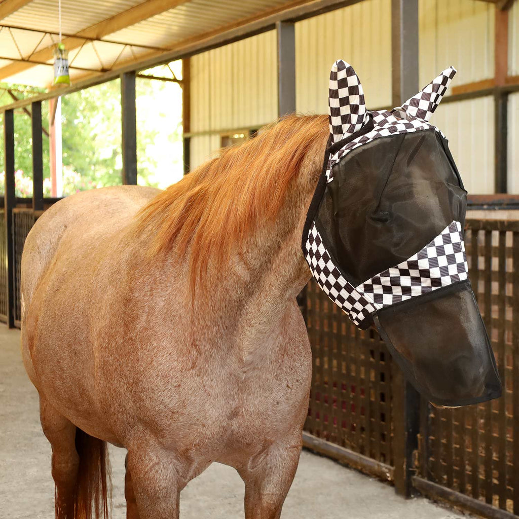Horse Fly Mask product image 4