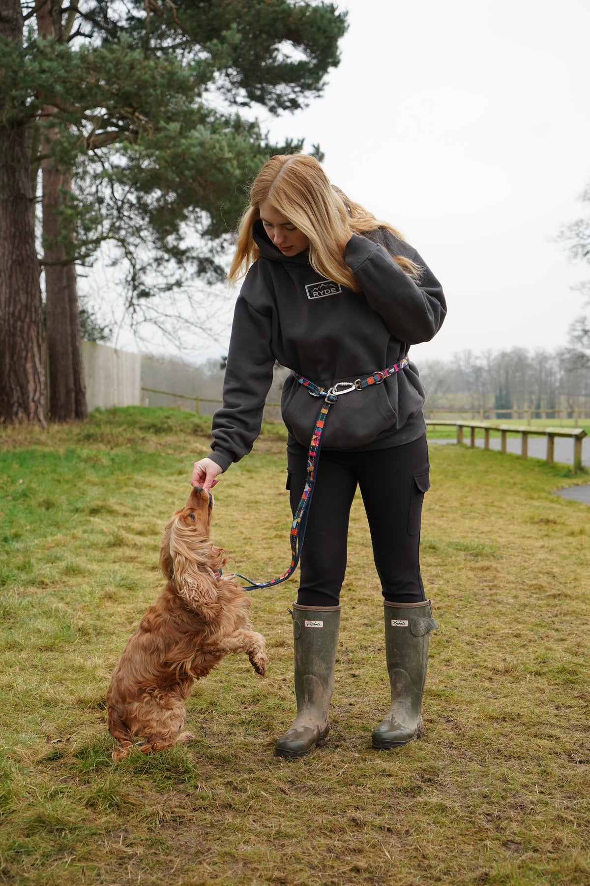 Adjustable Multi-Way Dog Leash product image 8