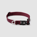 Adjustable Lightweight Dog Collar product image 5