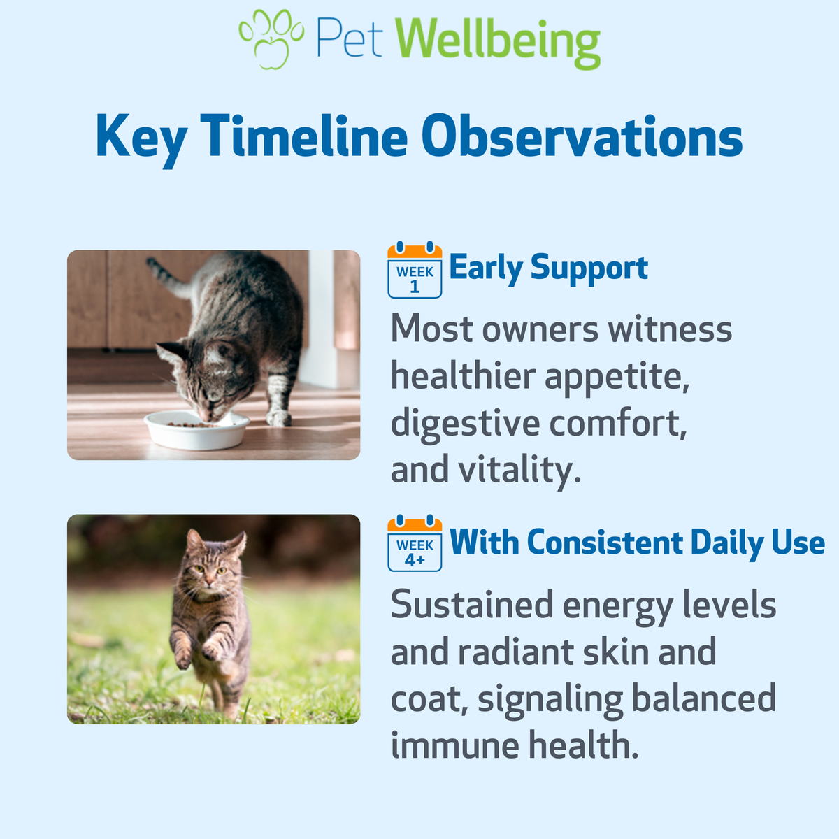 Cat Immune Supplement for Daily Immune and Antioxidant Support, Mushroom Blend for Healthy Vitality