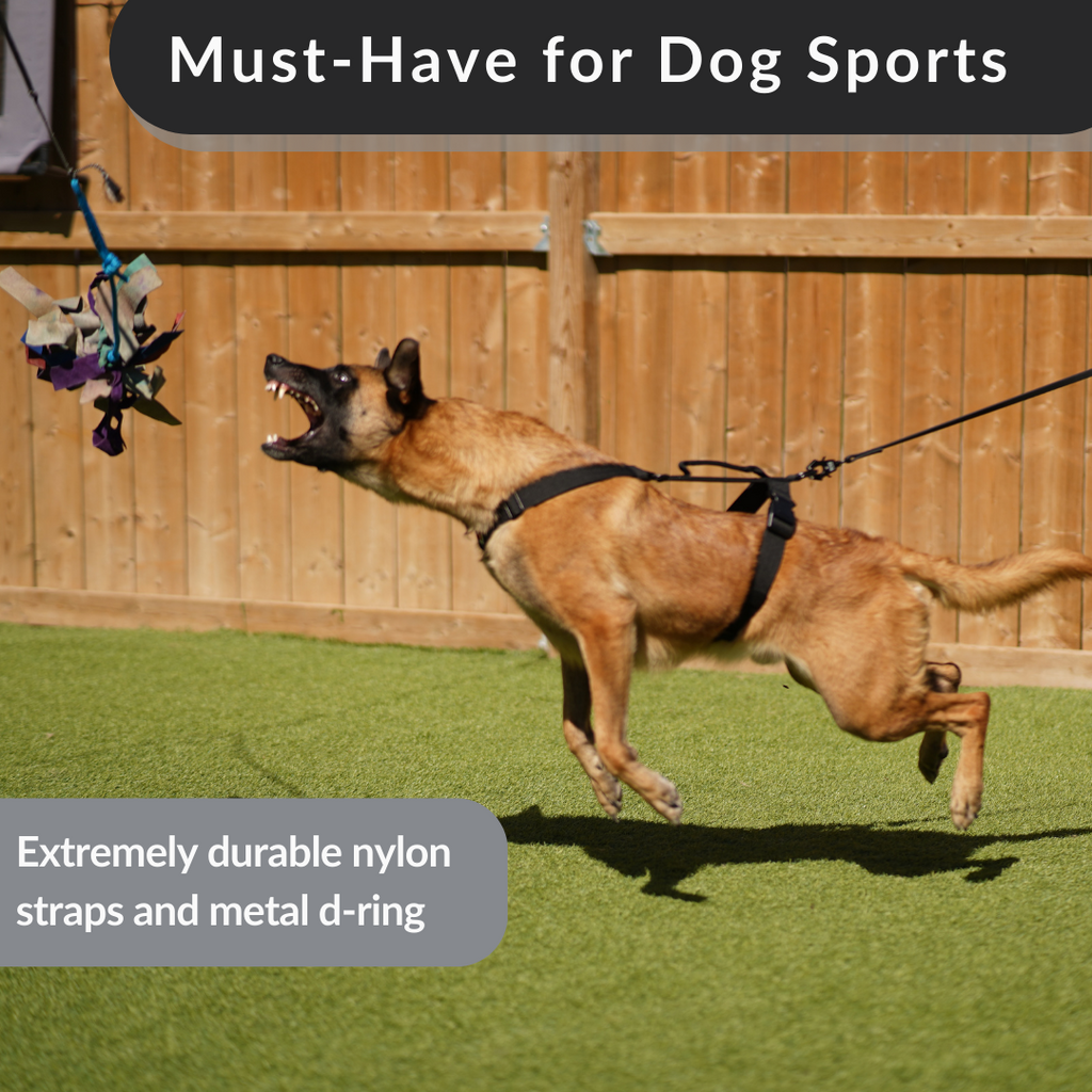 Working Dog Harness product image 5