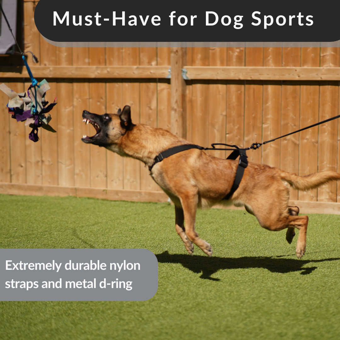 Working Dog Harness product image 5