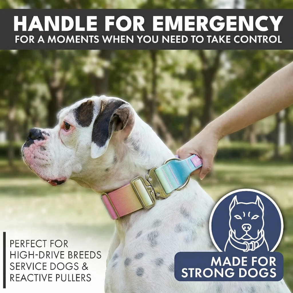 Control-Handle Dog Collar product image 3