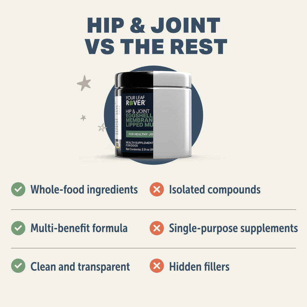 Hip and Joint Supplement Powder for Dogs product image 6