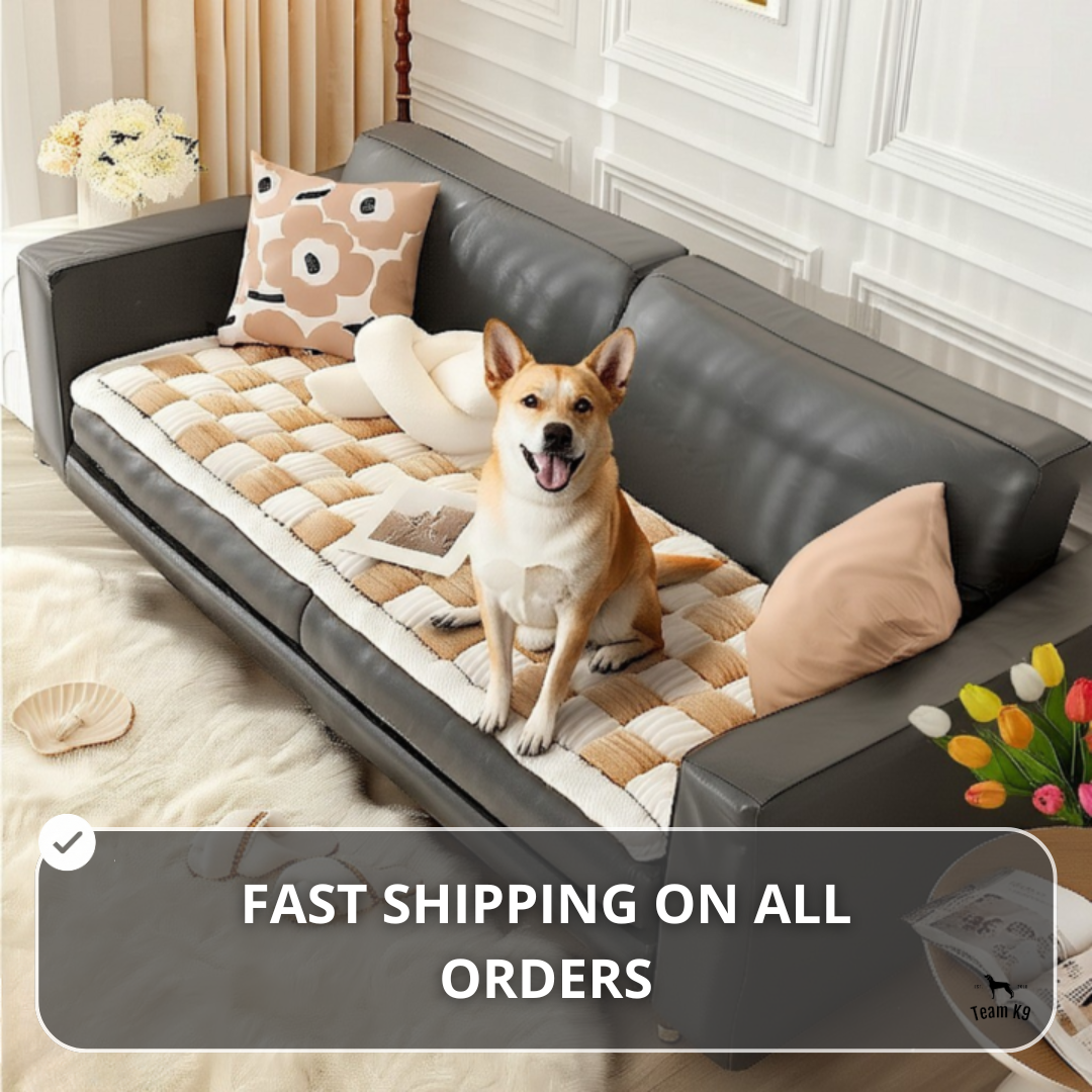 Padded Dog Couch Cover and Bed product image 12