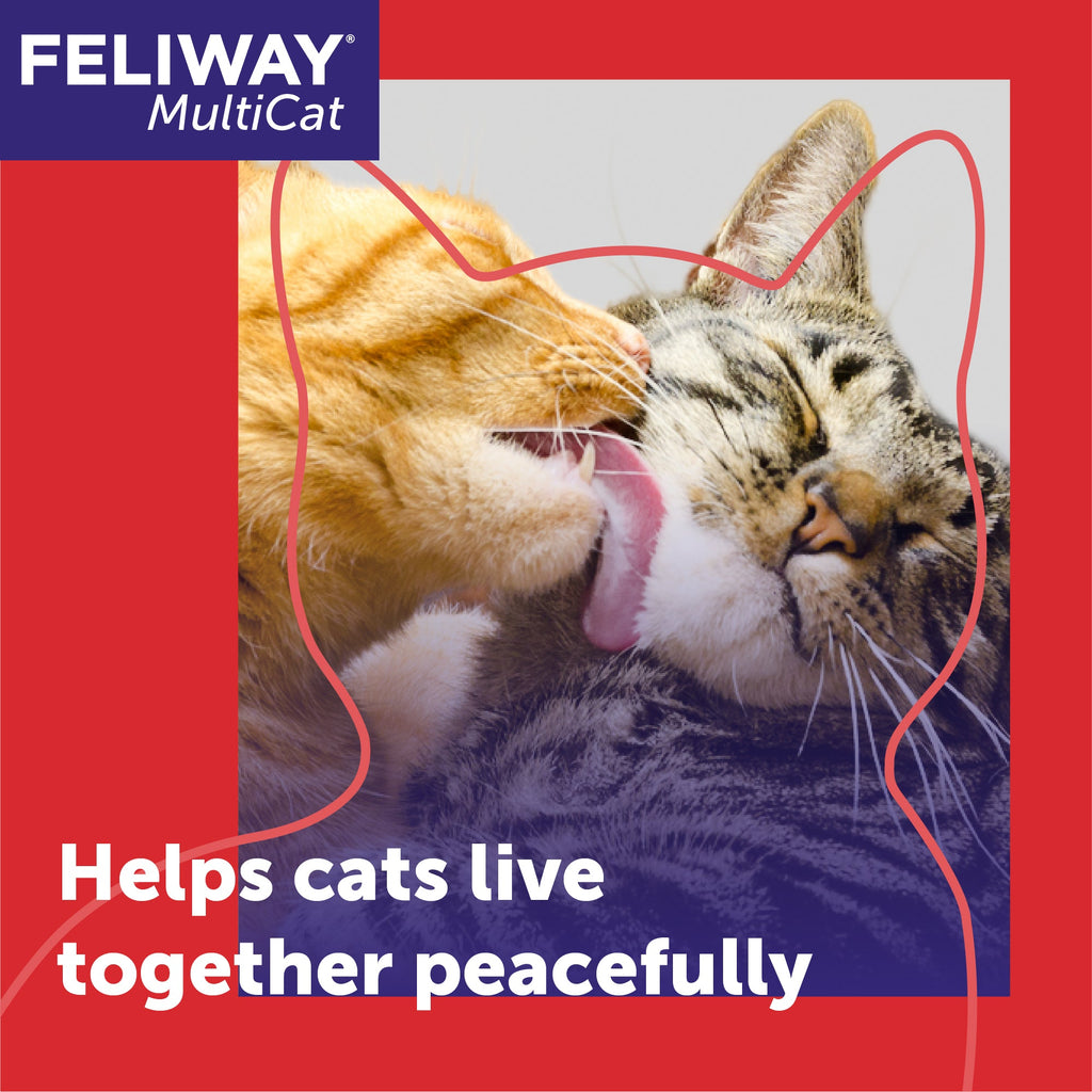 Multi-Cat Calming Diffuser Refill product image 5