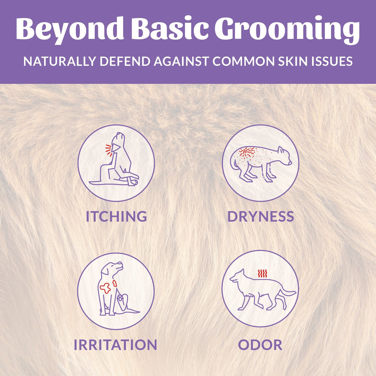 Probiotic Pet Shampoo and Conditioner product image 47