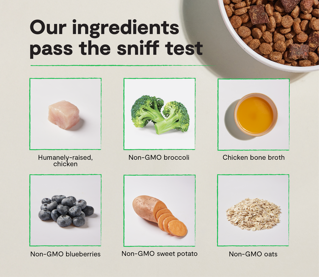 High-Protein Chicken Dry Dog Food product image 3