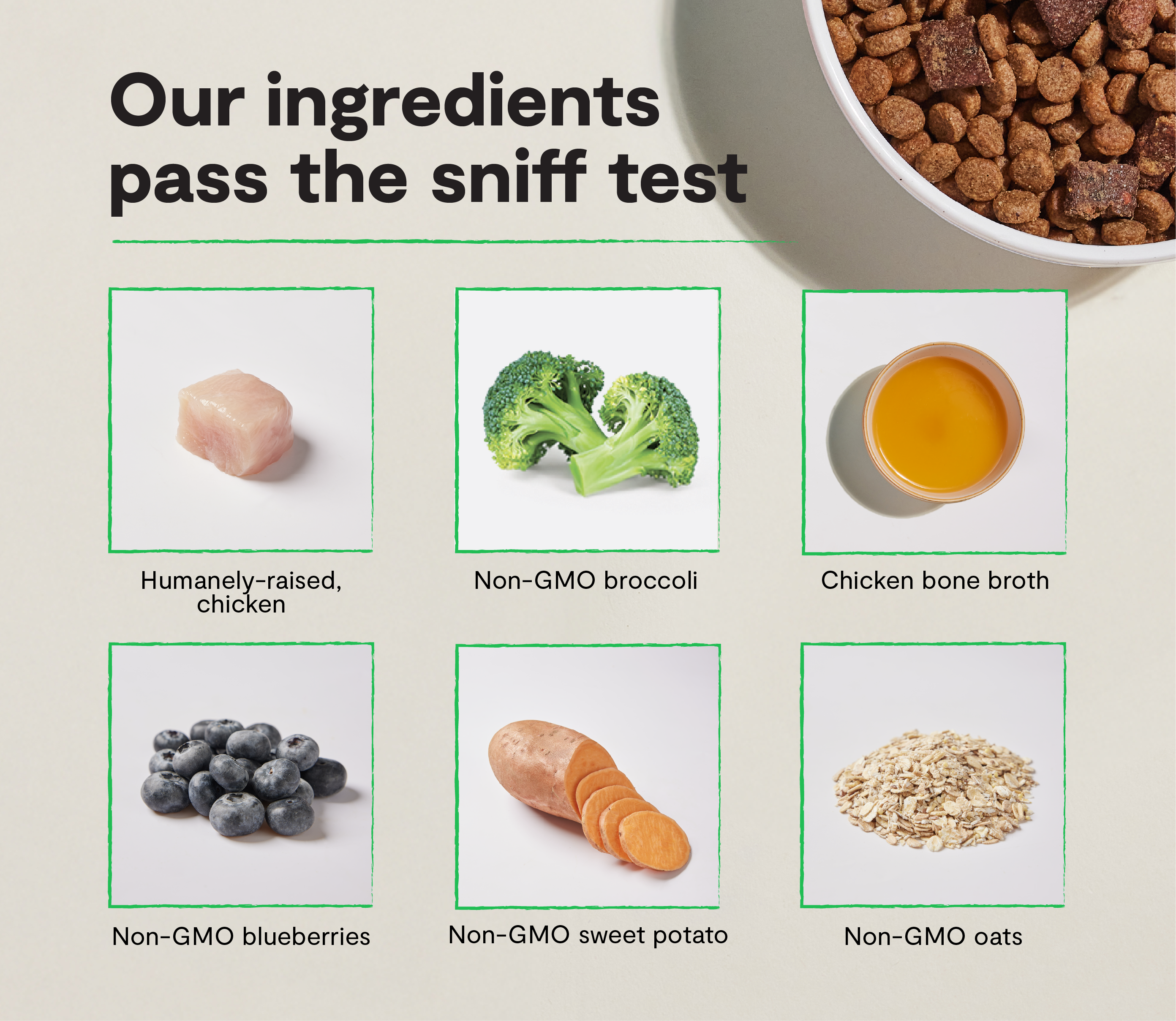 High-Protein Chicken Dry Dog Food product image 3
