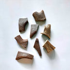 Moose Antler Dog Chew Assortment product image 13