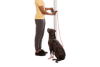 Adjustable Dog Leash and Hitching System product image 21