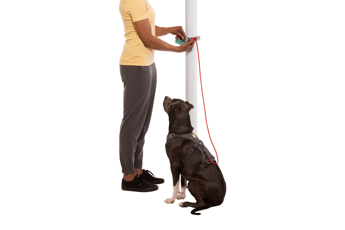 Adjustable Dog Leash and Hitching System product image 21