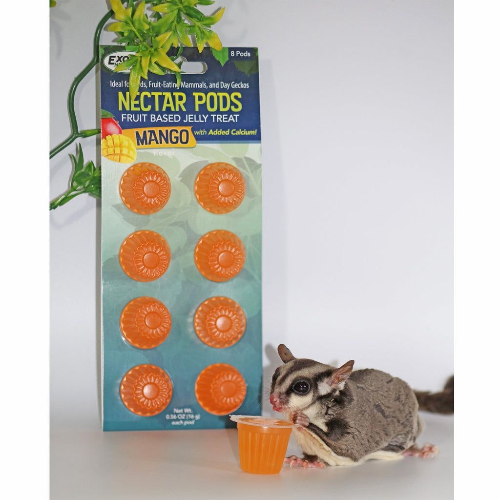 Fruit Jelly Nectar Pods for Exotic Pets product image 9